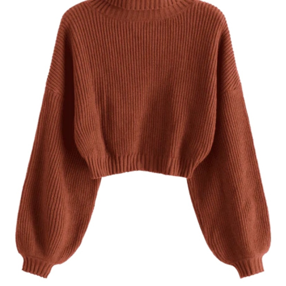Turtleneck lantern sleeve cropped sweater